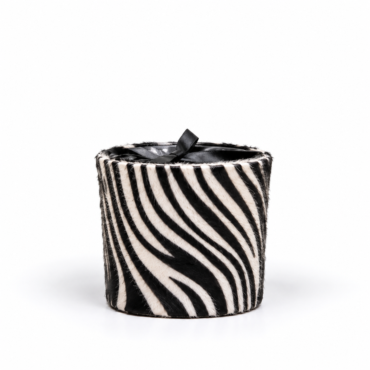 African Safari - ZEBRA