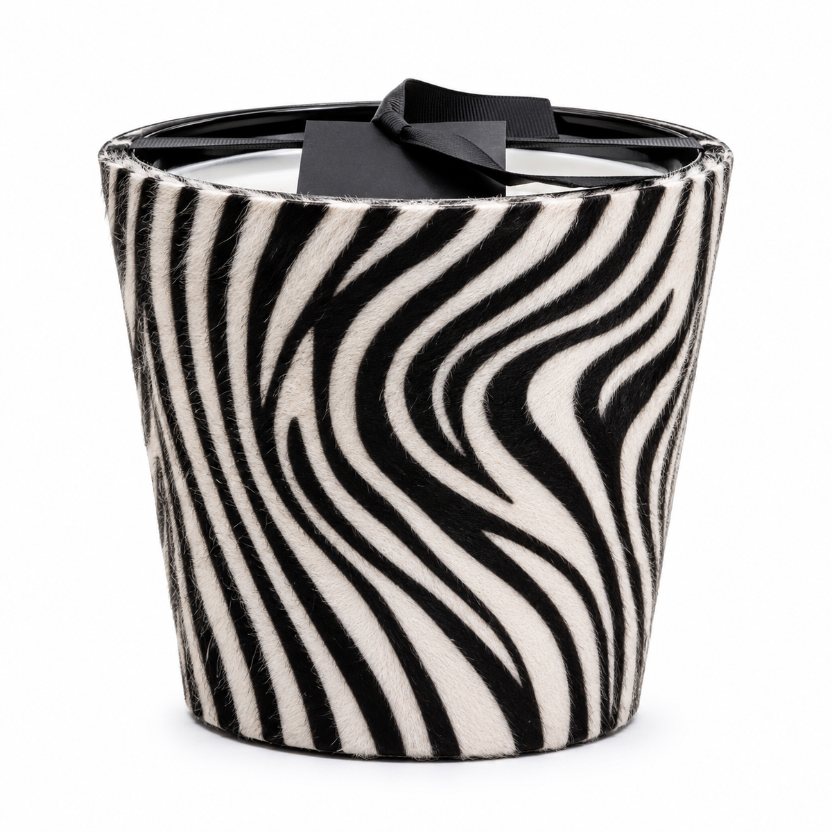 African Safari - ZEBRA